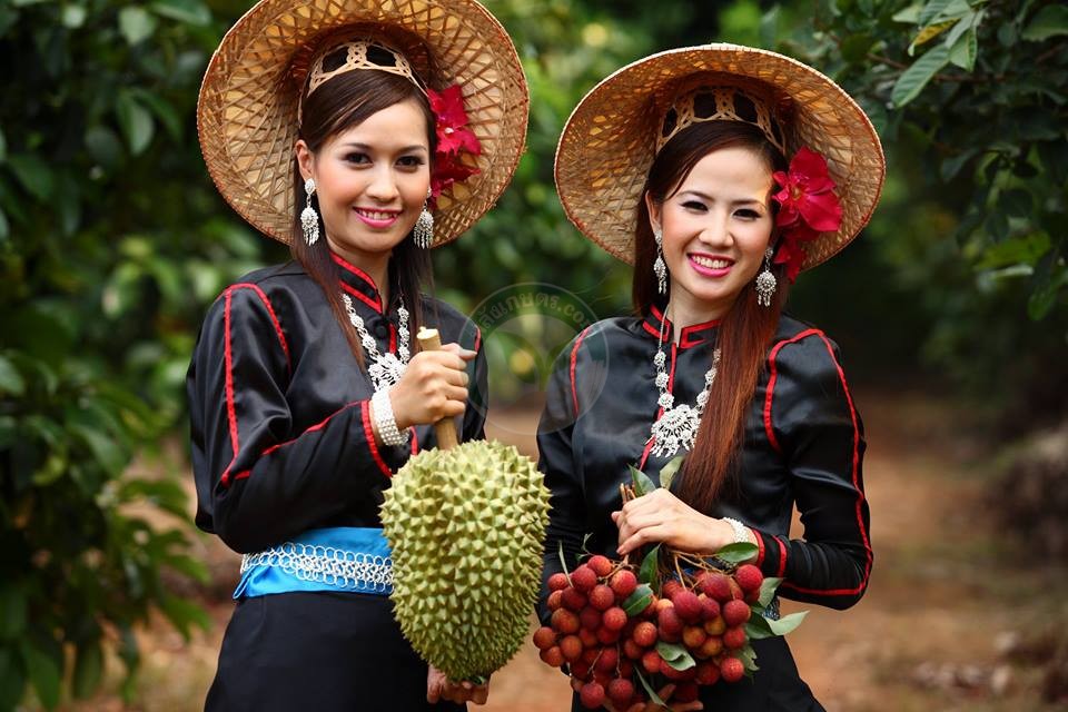 ทุเรียนศรีสะเกษมาตรฐานทุเรียนนนท์