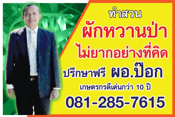 ผอ.ป๊อก ปรึกษาฟรี 081-285-7615 สวนผักหวานป่า สระบุรี