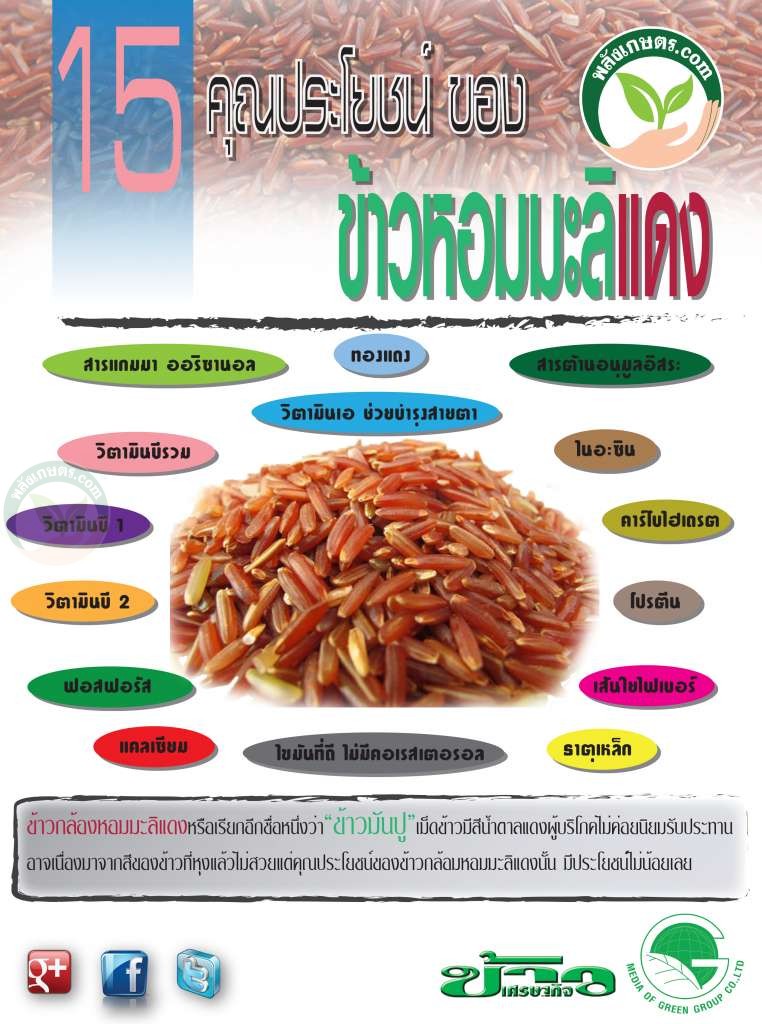 ข้าวหอมมะลิแดง อุดมไปด้วย 15 ประโยชน์ สำคัญ