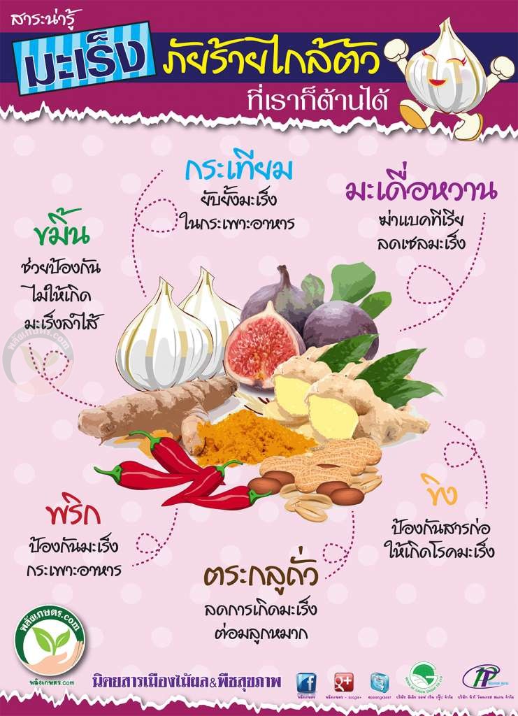 อาหารต้านมะเร็ง 6 ชนิด หาซื้อได้แถวบ้าน อาหารต้านมะเร็ง 6 ชนิด หาซื้อได้แถวบ้าน