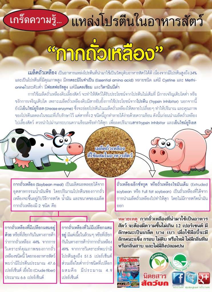 กากถั่วเหลือง แหล่งโปรตีนอาหารสัตว์ กากถั่วเหลือง อาหารสัตว์