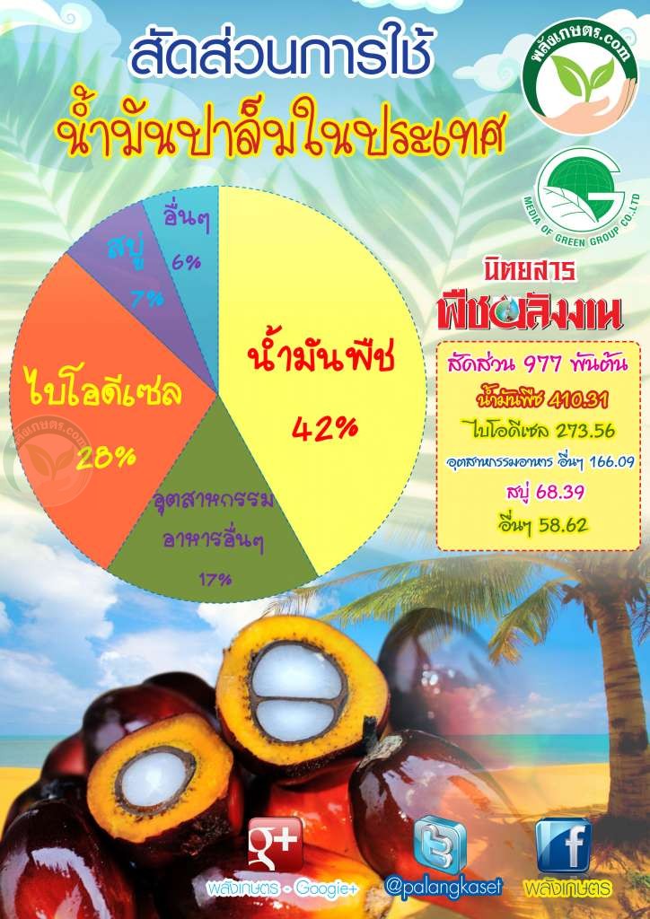 น้ำมันปาล์ม ใช้ในอุตสาหกรรมไหนบ้าง น้ำมันปาล์ม ใช้ในอุตสาหกรรมไหนบ้าง