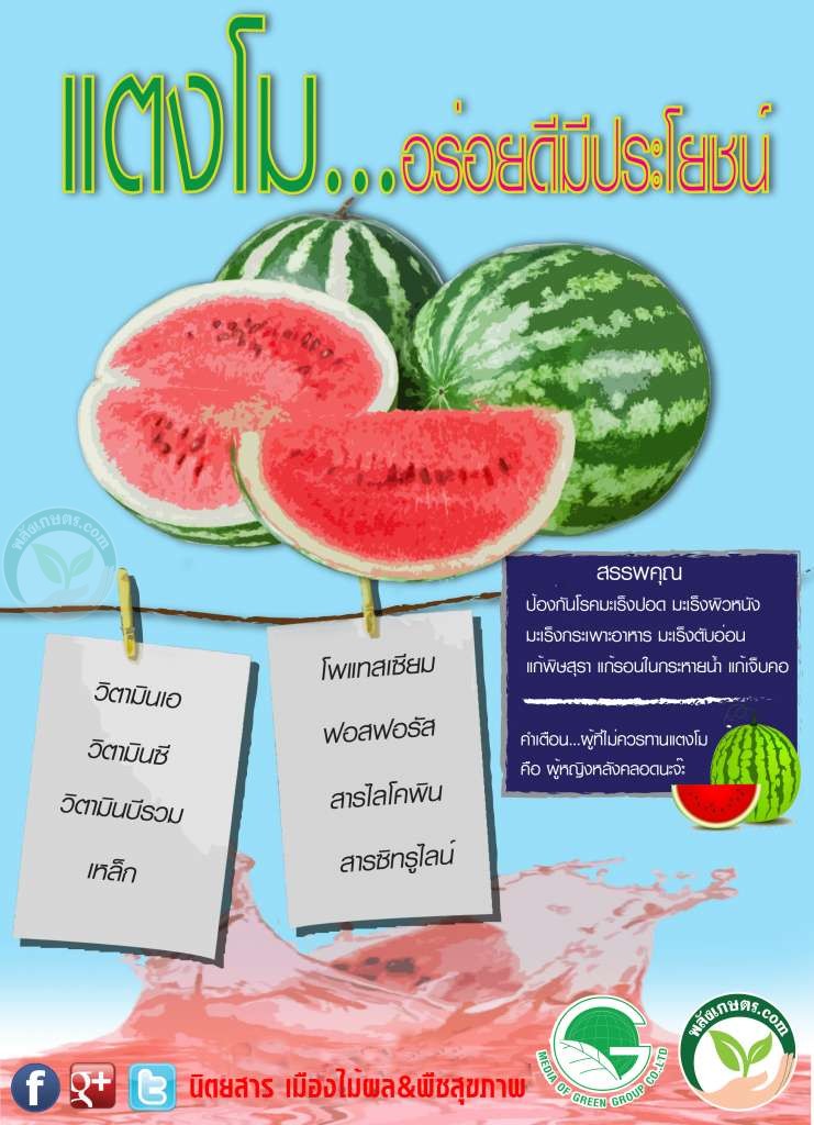 ประโยชน์ของแตงโม ประโยชน์ของแตงโม