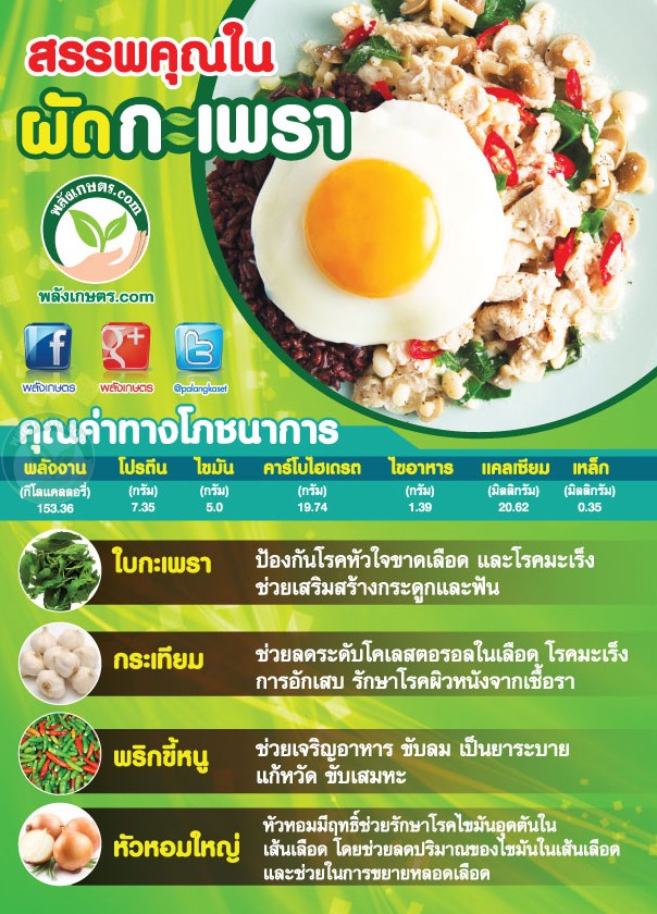 ผัดกะเพรา คุณค่าทางโภชนาการ เท่าไร ? ผัดกระเพรา คุณคา่ทางโภชนาการ เทา่ไร