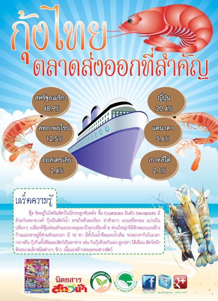 กุ้งไทย ส่งออก ไปประเทศไหนมากที่สุด? ส่งออก กุ้งไทย สินค้าส่งออกของไทย