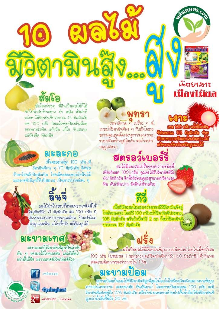 10 ผลไม้ ที่มี วิตามินซี สูง.. 10-ผลไม้ (เมืองไม้ผล)