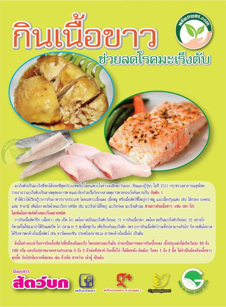 กินเนื้อขาวช่วยลดโรคมะเร็งตับ