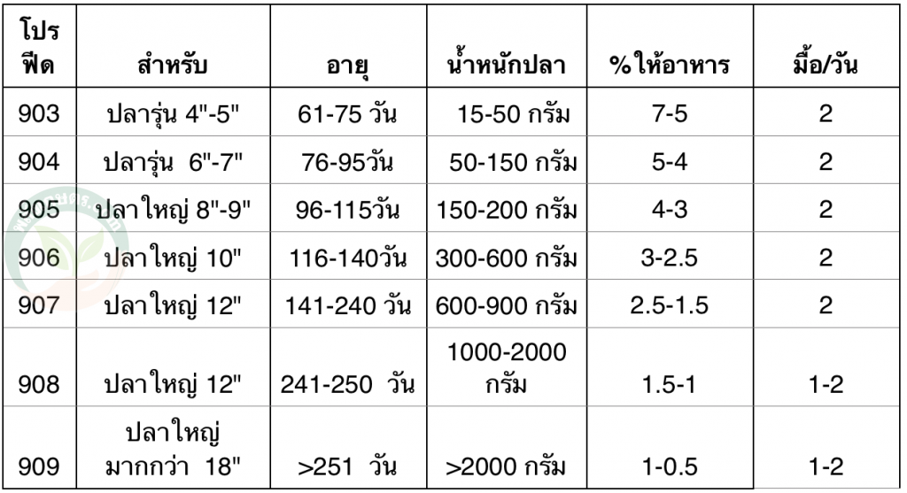 ตารางการให้อาหารปลากะพง