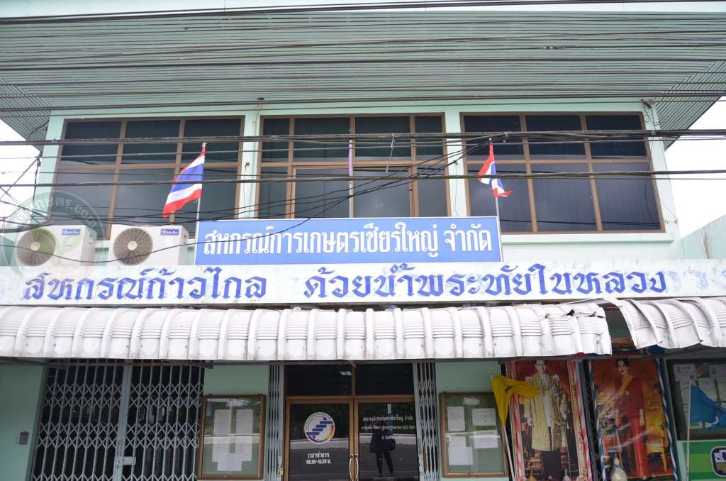 สหกรณ์การเกษตรเชียรใหญ่ เดินหน้าส่งเสริมเกษตรกรทั้งข้าวและปาล์ม