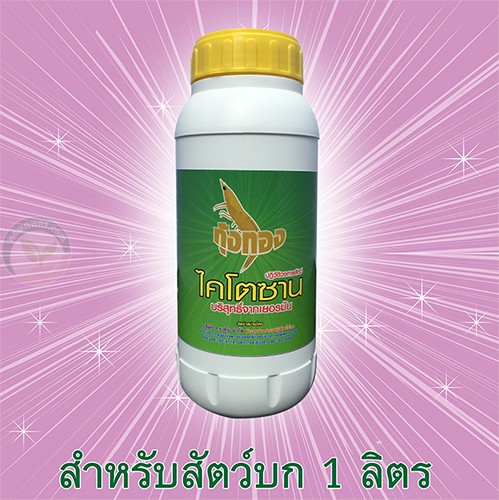 กุ้งทองไคโตซาน 089-792-9719