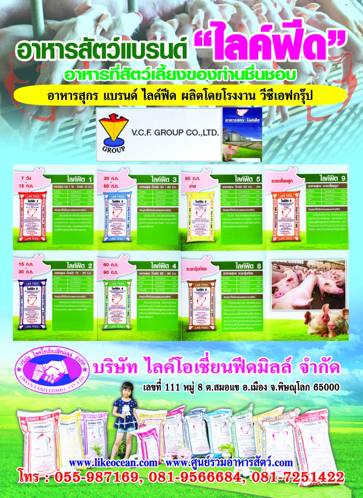 Ad-ไลค์ฟีด