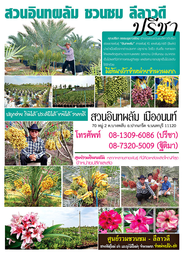 สวนปรีชา