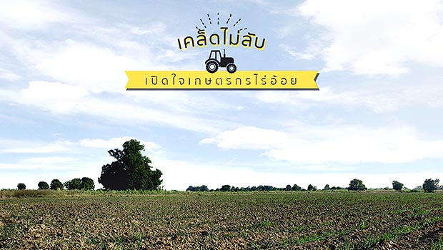 เปิดใจเกษตรกรไร่อ้อย ลงทุนระบบท่อน้ำหยดกับผลผลิตที่ดีเกินคาด!! ระบบน้ำหยด ไร่อ้อย