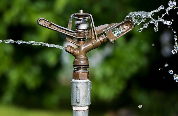สปริงเกอร์ มินิสปริงเกลอร์ ( Mini Sprinkler )