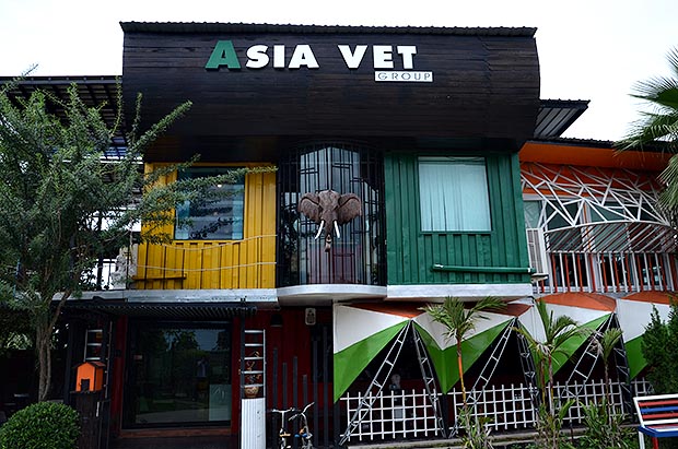 Asia Vet