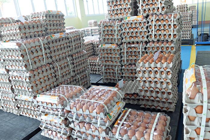 6.การตลาดไข่ไก่