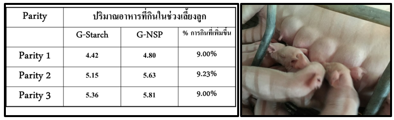 NSP-ช่วยทำให้ทางเดินอาหารขยายตัวเพิ่มความจุของทางเดินอาหาร-
