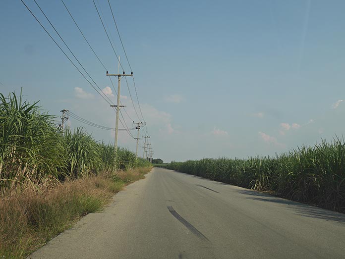 3.การทำขุยมะพร้าวเสริมด้วยไร่อ้อย-100-กว่าไร่