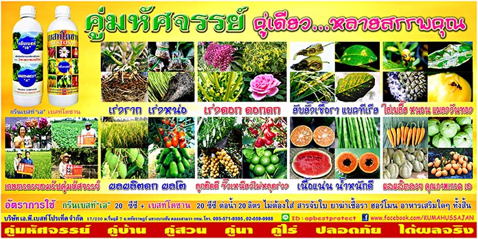 Ad-เอพีเบสท์