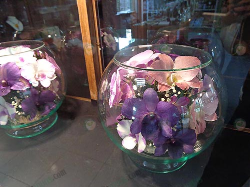 กล้วยไม้อบแห้งมีสีสันสดสวยมาก