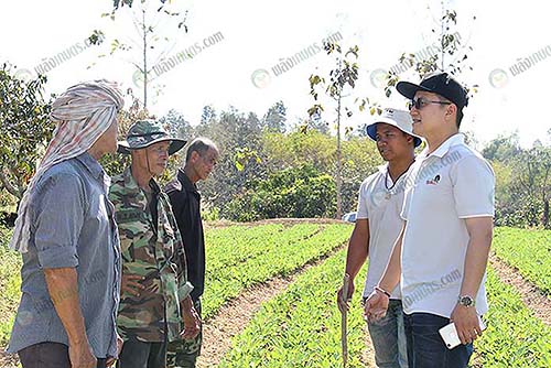 การส่งเสริมให้ความรู้แก่เกษตรกรในการปลูกถั่วลิสง