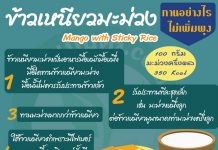 ข้าวเหนียวมะม่วง ทานอย่างไรไม่เพิ่มพุง ข้าวเหนียวมะม่วง