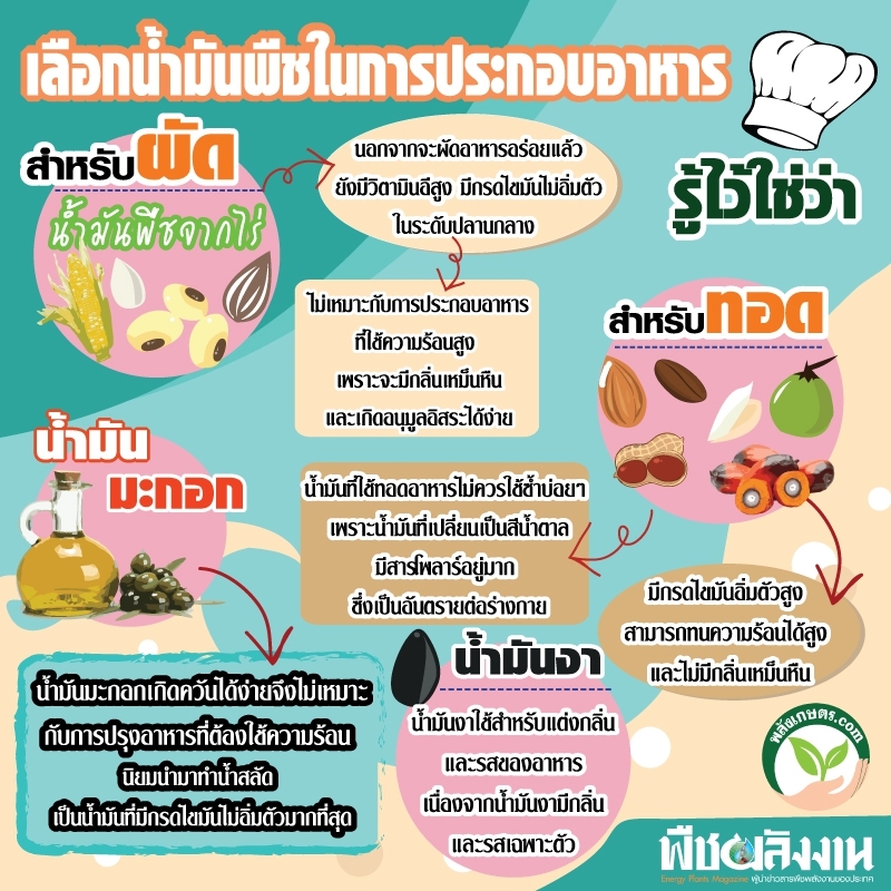 น้ํามันอะไรดีที่สุด info1
