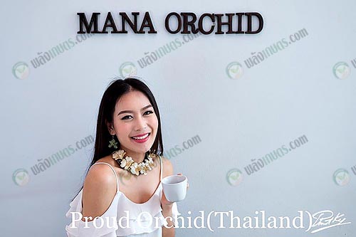 เครื่องประดับจากดอกกล้วยไม้