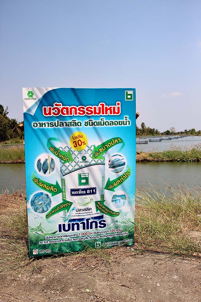 12.นวัตกรรมอาหารที่จะช่วยเหลือเกษตรกรได้