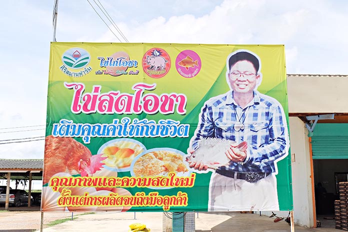 15.จำหน่ายภายใต้ชื่อ-ไข่ไก่โอชา