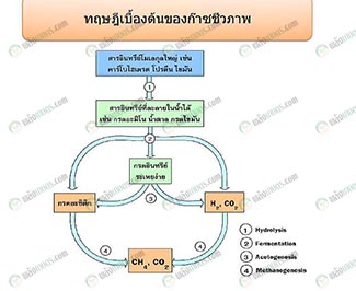 2.การผลิตก๊าซชีวภาพ