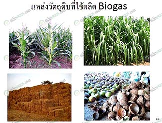 3.การใช้ระบบผลิตก๊าซชีวภาพในพืชผัก-หญ้า-กะลามะพร้าว