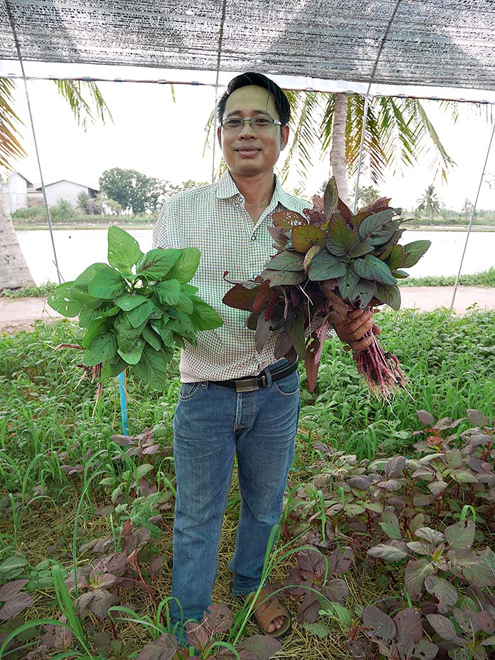 3.คุณเต-ผู้จัดการ-ดูแลสวนผักอินทรีย์ปลอดสารพิษ
