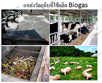 4.การใช้ระบบผลิตก๊าซชีวภาพในฟาร์มปศุสัตว์