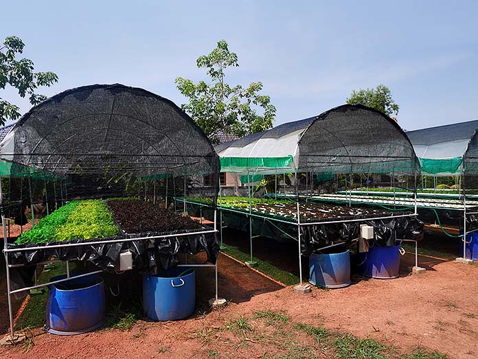 4.โรงเรือนปลูกผักไฮโดรโปนิกส์