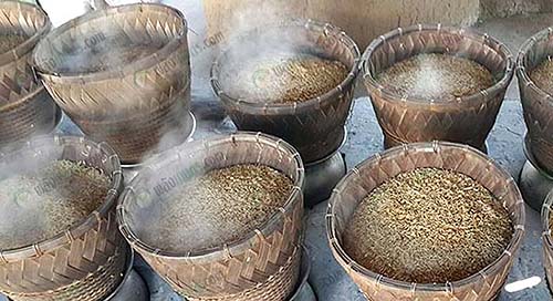 8.ข้อดีของข้าวฮางหอมทอง