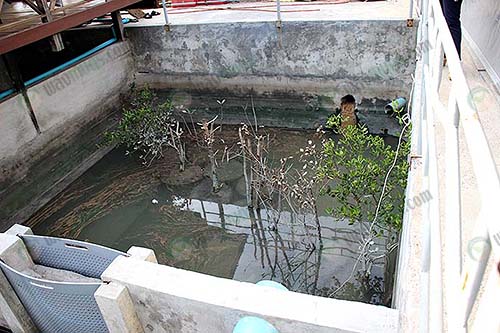 8.บ่อที่-1-เป็นบ่อที่รองรับน้ำทิ้งภายในฟาร์ม