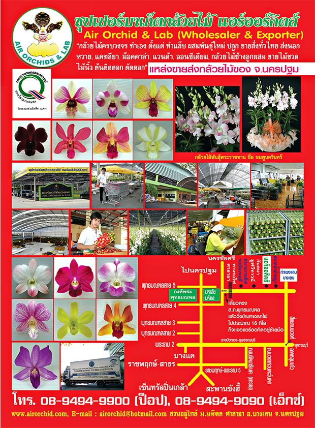 Advertisement by แอร์ออร์คิดส์