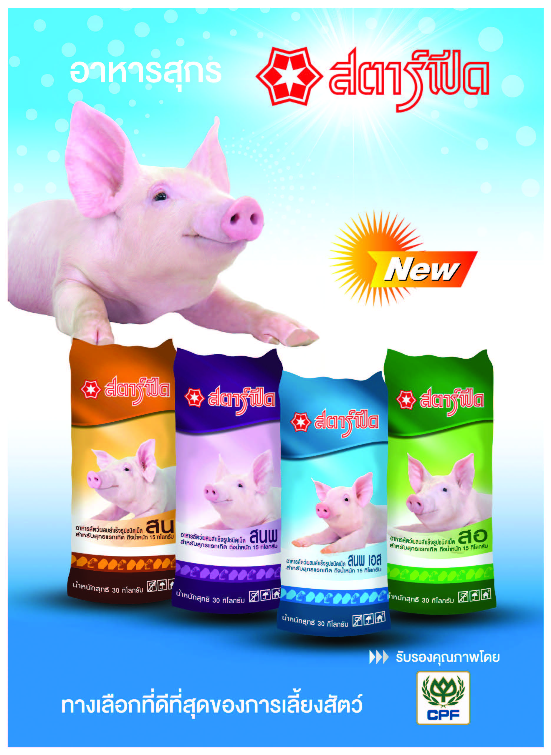 Advertisement-กรุงเทพผลิตภัณฑ์สตาร์ฟีด