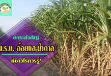 สาระสำคัญ พรบอ้อยและน้ําตาลทราย ที่ชาวไร่ควรรู้! พรบอ้อยและน้ำตาลทราย1