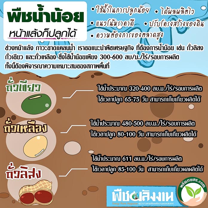 พืชน้ำน้อย พืชใช้น้ำน้อย