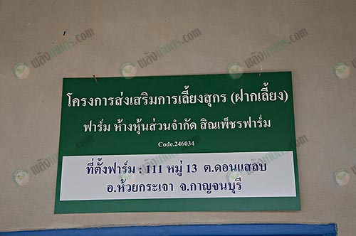 โครงการส่งเสริมการเลี้ยงสุกร-หรือโครงการฝากเลี้ยง