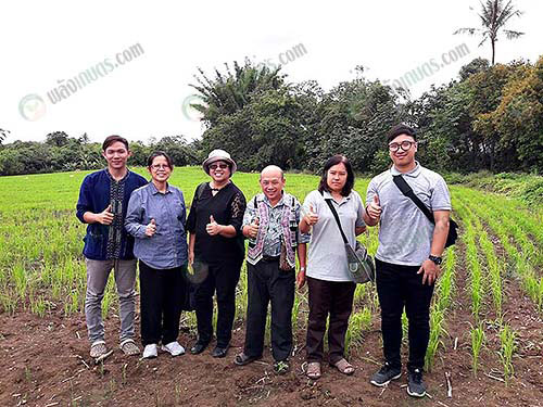 1.ข้าวไร่-ข้าวเหนียวดำ-พันธุ์ลืมผัว-ปลูก-1-มิ.ย.60