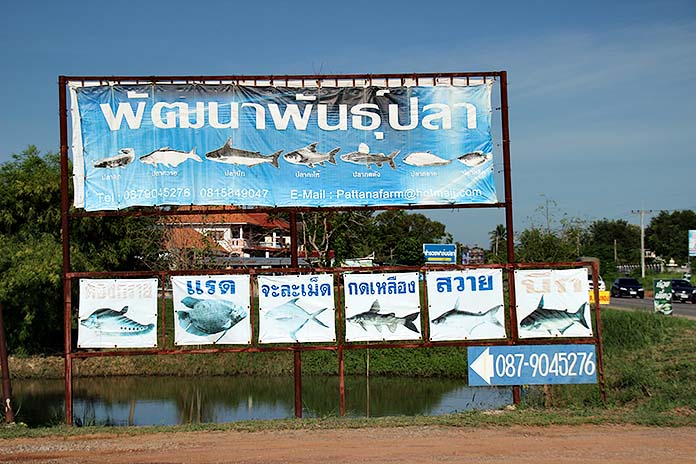 1.ฟาร์มแห่งแรกที่ก่อตั้งขึ้นเอง