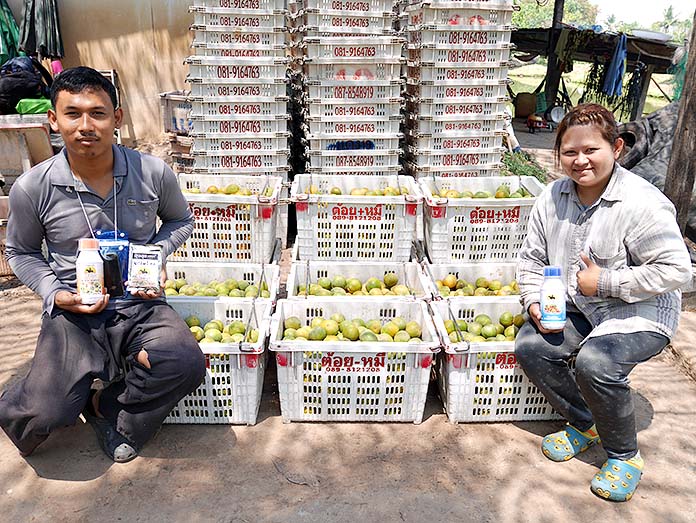 2.คุณณัฐกิตติ์-อ่อนน้อมดี-และคุณยุวดี-มาเจริญ-เจ้าของสวนส้มเขียวหวานดำเนิน
