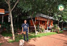 เกษตรผสมผสาน ในสวน ยางพารา 15 ไร่ ป้อนสหกรณ์ฯโนนสุวรรณ รายได้ไม่เคยต่ำกว่า 20,000 บาท/เดือน เกษตรผสมผสาน ยางพารา