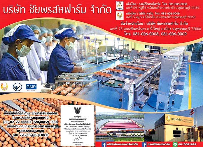 2.เส้นทางธุรกิจไก่ไข่