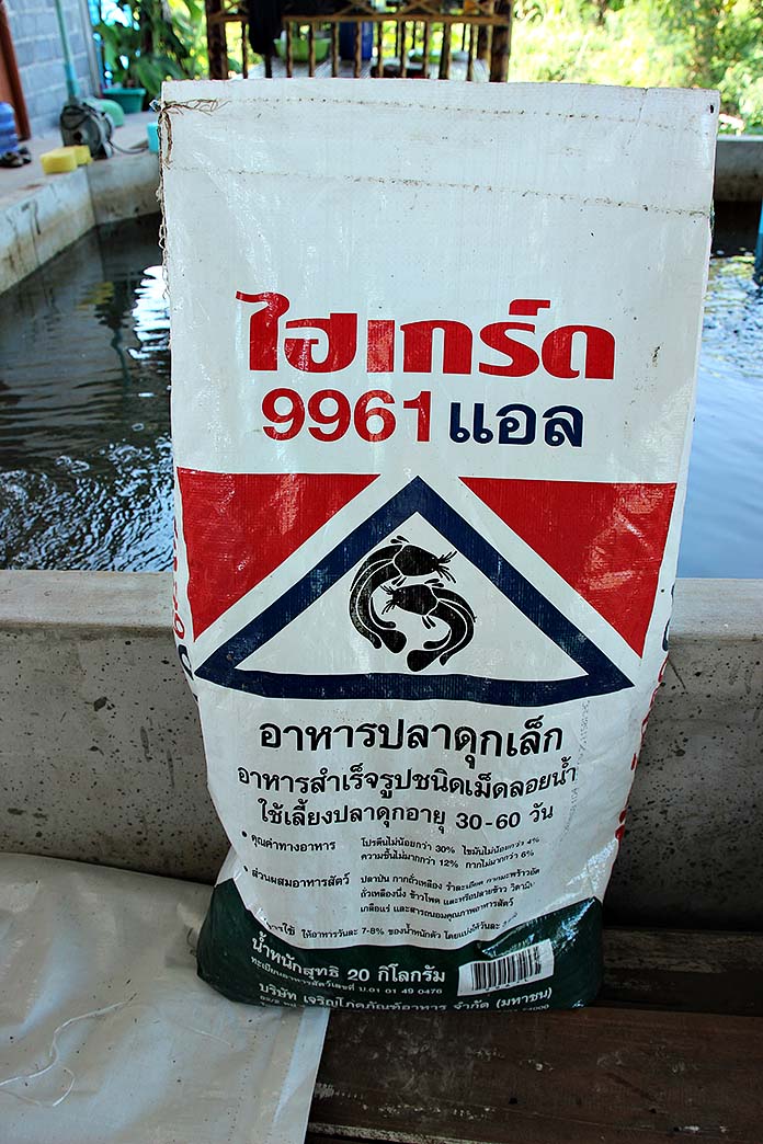 4.อาหารสำหรับอนุบาลปลาดุกเล็ก