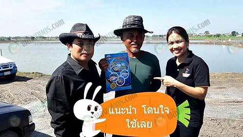 6.รายได้จากการเลี้ยงกุ้ง