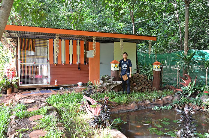 7.บ้านแสนสุขในสวนยางพารา